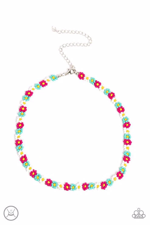 Seed Limit - Pink